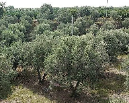Casa Tranquillo