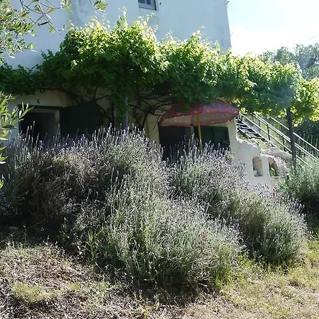 Casa Tranquillo